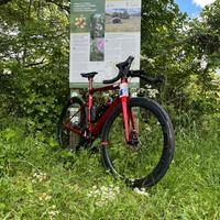 Massi Arrow Bicicletta da corsa/strada