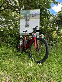 Massi Arrow Bicicletta da corsa/strada