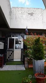 Pergola ad arco da giardino 