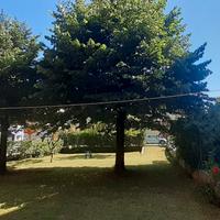 Appartamento centro Pinzolo