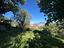 Immagine 20