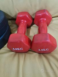 PESI e MANUBRI COME NUOVI