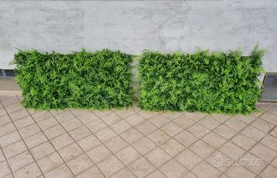 Coppia pannelli siepe artificiale finta 100  x 50