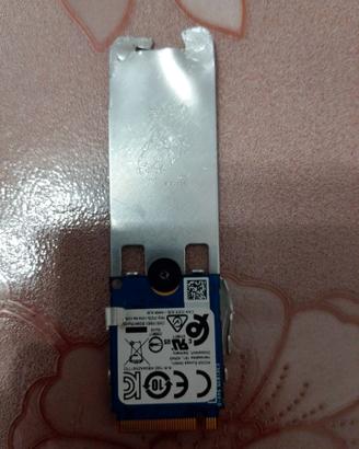 SSD M.2 256GB SATA/PCIe per notebook e PC