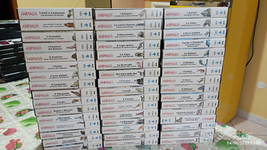 Animali in primo piano