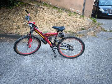 Mountain bike 