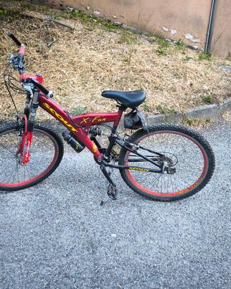 Mountain bike 