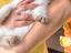 Immagine 6