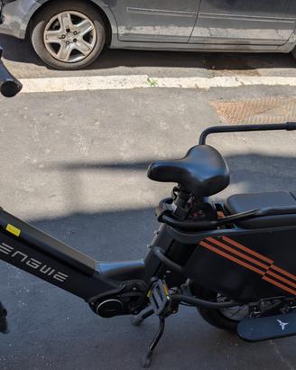 Bici elettrica Cargo - DA RIPARARE