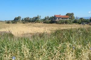 Terreno agricolo a Cabras