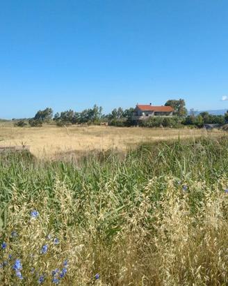Terreno agricolo a Cabras