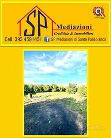 Terreno Pianeggiante su strada