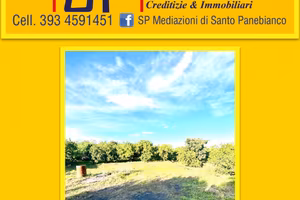 Terreno Pianeggiante su strada