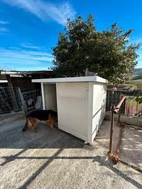 Box per animani/ripostiglio