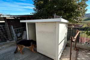 Box per animani/ripostiglio