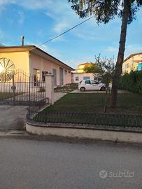 Capannone paternopoli