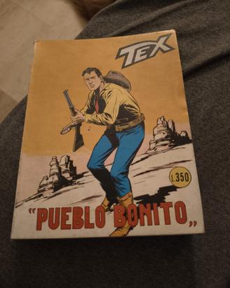 Tex gigante