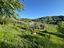 Immagine 26