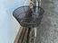 Immagine 3
