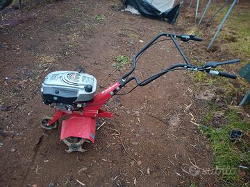 MOTOZAPPA EINHELL GC-MT 3060 LD