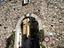 Immagine 5