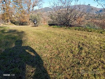 Realizzo lavori con motozappa