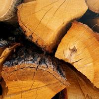 legna da ardere di carpino e rovere