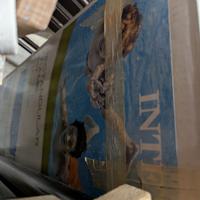 Piscina INTEX fuori terra220x150