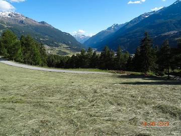 Terreno agricolo edificabile agriturismo in Bormio