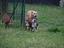 Immagine 17