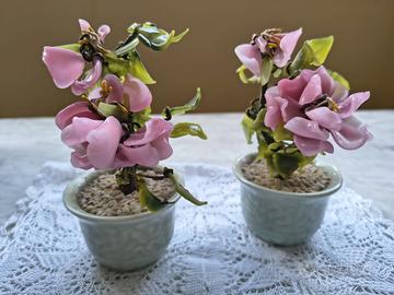 Bonsai in vetro