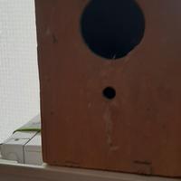 NIDI  x uccelli in legno e plastica 