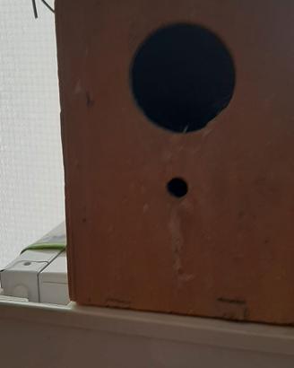 NIDI  x uccelli in legno e plastica 