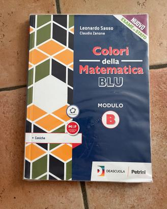 Colori della matematica B