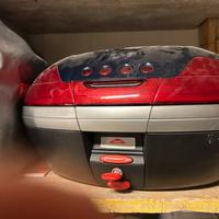 Baule maluguti spidermax