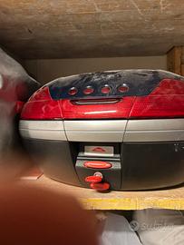 Baule maluguti spidermax