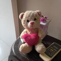 orsacchiotto innamorato