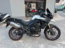 triumph-tiger-800-usata