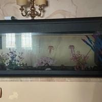 Acquario