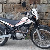beta alp 200 