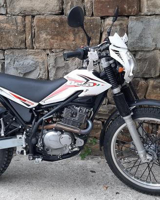 beta alp 200 