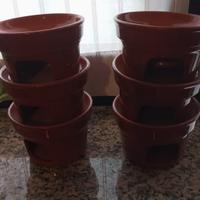 Ciotole bourguignonne