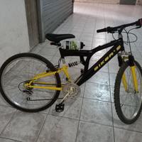 Bicicletta mountain bike ragazzo/a