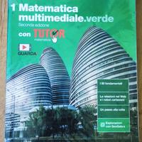 Libro Matematica multimediale verde