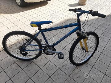 MONTAINBIKE  24 POLLICI