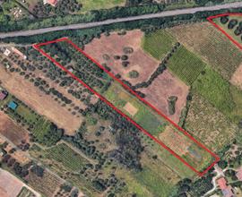 Terreno 1,8 ha e magazzino - Lanuvio (RM) | TR320