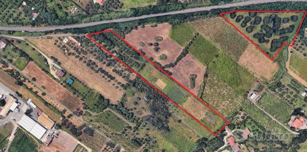 Terreno 1,8 ha e magazzino - Lanuvio (RM) | TR320