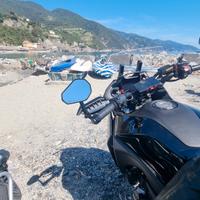 Specchietti End Bar Omologati