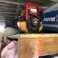 Taglia erba Honda a benzina 4 Stroke