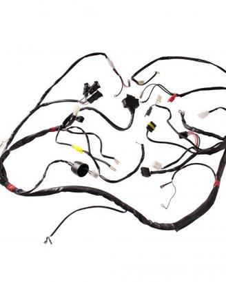 Impianto elettrico Malaguti F12R 01744600